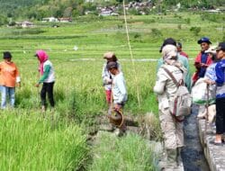 Pemkab Samosir Bersama Provsu Berikan Bantuan Kepada Petani