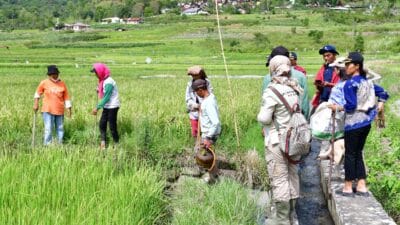 Pemkab Samosir Bersama Provsu Berikan Bantuan Kepada Petani