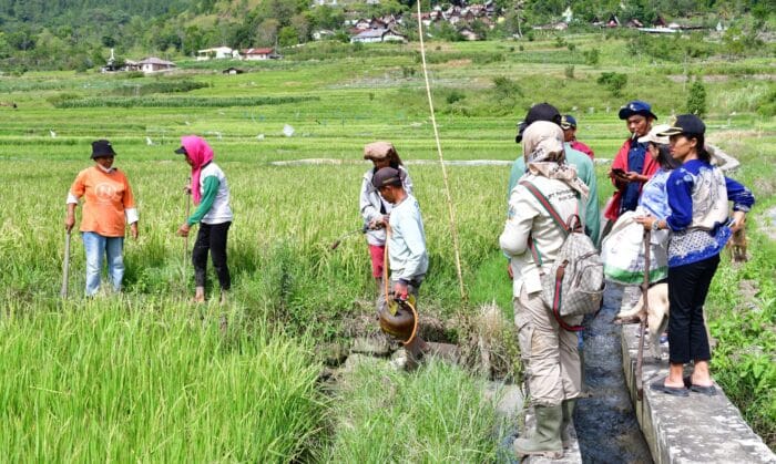 Pemkab Samosir Bersama Provsu Berikan Bantuan Kepada Petani