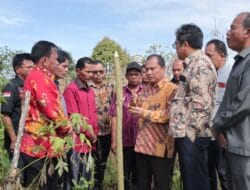 Pemkab Dairi Terima Hibah Tanah 1,5 Ha dari Keturunan M Taksir Ujung