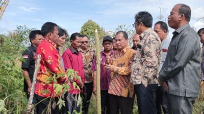 Pemkab Dairi Terima Hibah Tanah 1,5 Ha dari Keturunan M Taksir Ujung