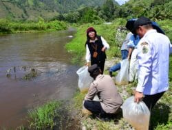 Pemkab Samosir Bersama DKP Provsu Tabur Benih Ikan di Danau Toba