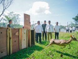 Jelajah Alam Sidikalang 2024 Jadi Ajang Promosi Dairi
