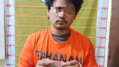 Polres Samosir Tangkap Pria Pemilik Ganja di Desa Tomok