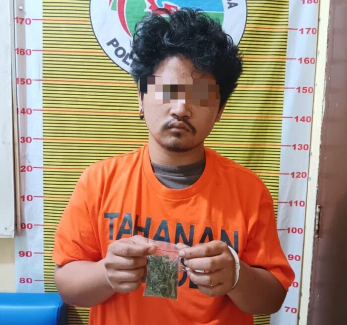 Polres Samosir Tangkap Pria Pemilik Ganja di Desa Tomok