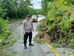 Polsek Onanrunggu Cek TKP Gangguan Alam Pohon Tumbang dan Longsor