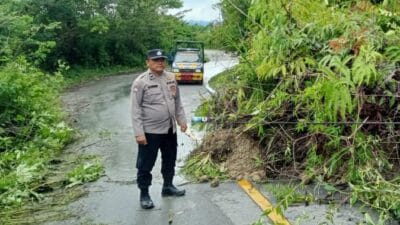 Polsek Onanrunggu Cek TKP Gangguan Alam Pohon Tumbang dan Longsor