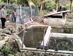 Polres Samosir Tinjau Kolam Darat Tak Produktif Dukung Program 100 Hari Kerja Presiden RI