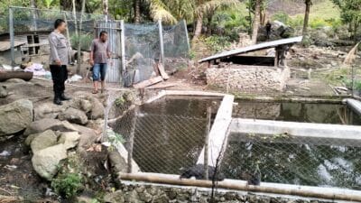 Polres Samosir Tinjau Kolam Darat Tak Produktif Dukung Program 100 Hari Kerja Presiden RI