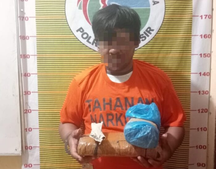 Polres Samosir Tangkap Terduga Pengedar Narkotika Jenis Ganja di Desa Cinta Dame