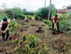 Polsek Pangururan dan Warga Persiapkan Lahan Ketahanan Pangan di Desa Sijambur