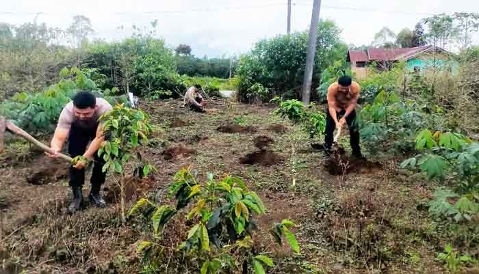 Polsek Pangururan dan Warga Persiapkan Lahan Ketahanan Pangan di Desa Sijambur