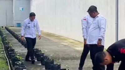 Rutan Kelas I Medan Cek Pertumbuhan Bibit Terong dan Cabai
