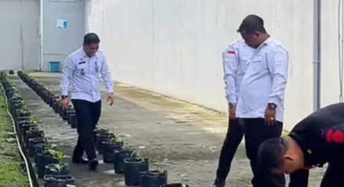 Rutan Kelas I Medan Cek Pertumbuhan Bibit Terong dan Cabai