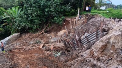 Puluhan Ribu Ikan Mati Akibat Tercemar Air Limbah