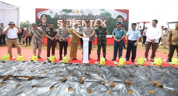Penanaman 1 Juta Hektare Jagung: Polda Sumut Fokus Produksi 100 Ribu Ton