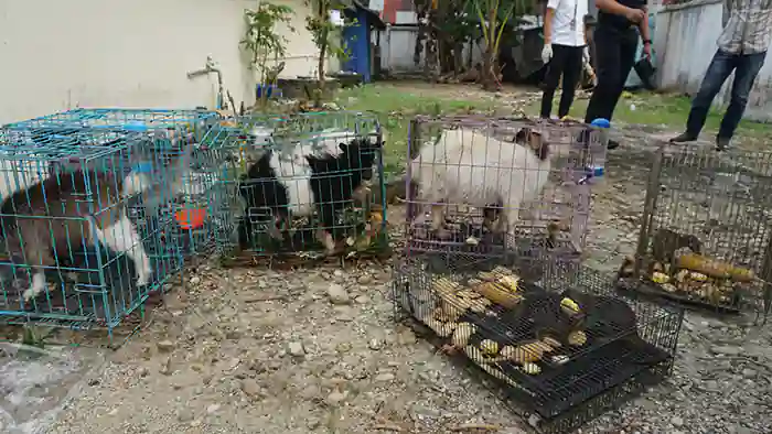 Bea Cukai Langsa Musnahkan Barang Ilegal