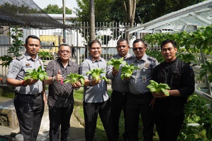 Karutan Kelas I Medan Panen Sawi Hidroponik Bersama GM Hotel Grand Mercure