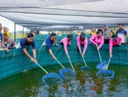 Polda Sumut Panen Lele Perdana Dukung Program Ketahanan Pangan
