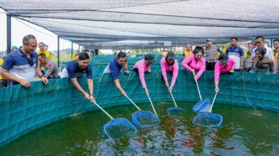 Polda Sumut Panen Lele Perdana Dukung Program Ketahanan Pangan