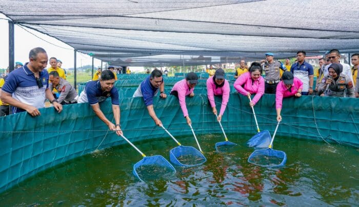 Polda Sumut Panen Lele Perdana Dukung Program Ketahanan Pangan