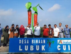 Desa Lubuk Cuik Salah Satu Penghasil Cabai Nasional di Batu Bara