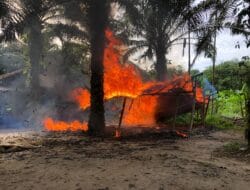 Polrestabes Medan Gerebek Lapak Judi Sabung Ayam di Pancur Batu