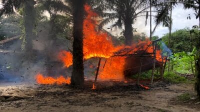 Polrestabes Medan Gerebek Lapak Judi Sabung Ayam di Pancur Batu