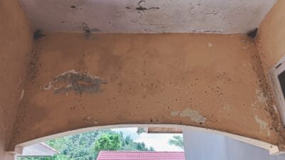 Tidak Terawat, Rumah Dinas DPRD Solok Jadi Tempat Sarang Burung Layang-layang