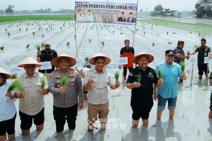 Tanam Padi Serentak, Bupati Batu Bara Imbau Petani agar Panen Lebih Lama