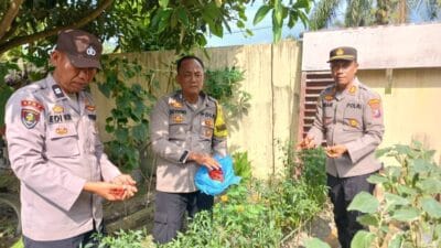 Polsek Indrapura Laksanakan Koordinasi dan Pengecekan Lahan Ketahanan Pangan