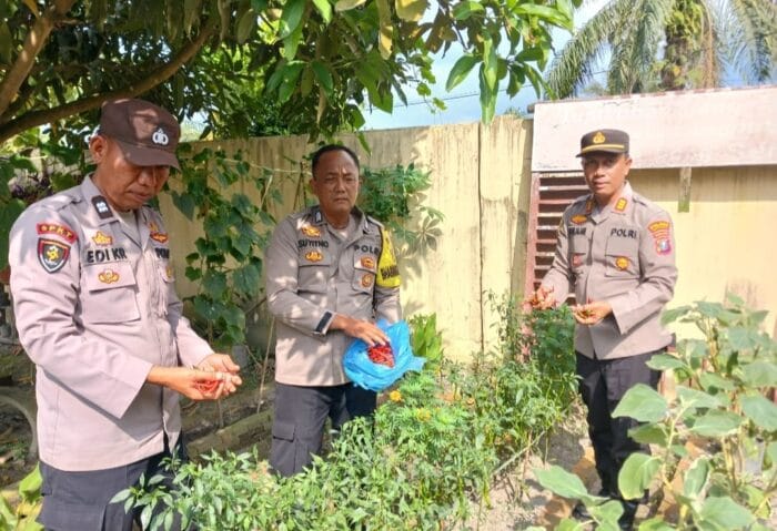 Polsek Indrapura Laksanakan Koordinasi dan Pengecekan Lahan Ketahanan Pangan