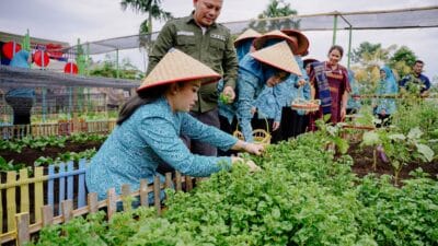 Airin Waas Tinjau & Panen Sayuran di Taman Setia Sempakata
