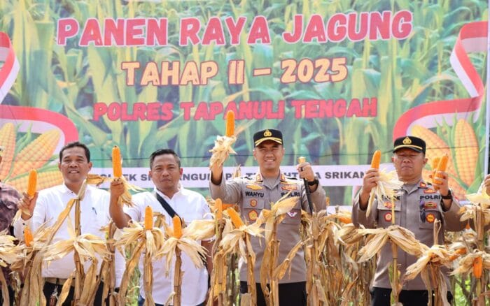 Polres Tapteng Panen Raya Jagung Tahap 2 di Wilayah Sibabangun