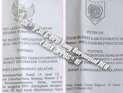 Oknum PPPK di Puskesmas Desa Bunut Kecamatan Torgamba Labusel Diduga Rangkap Jabatan
