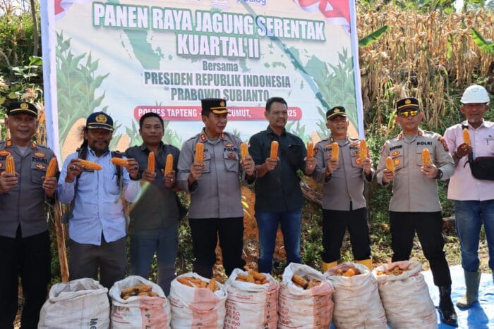 Polres Tapteng Panen Raya Jagung Kuartal 2 di Wilayah Kolang