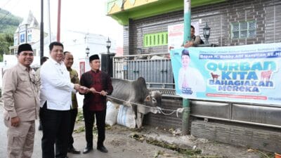 Bupati dan Wabup Samosir Serahkan Hewan Kurban Bantuan Presiden RI, Gubsu dan Pemkab