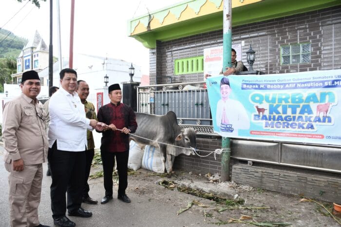 Bupati dan Wabup Samosir Serahkan Hewan Kurban Bantuan Presiden RI, Gubsu dan Pemkab