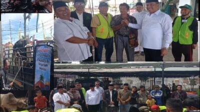 Bupati Karo Serahkan Sapi Kurban dari Presiden RI di Masjid Agung Kabanjahe