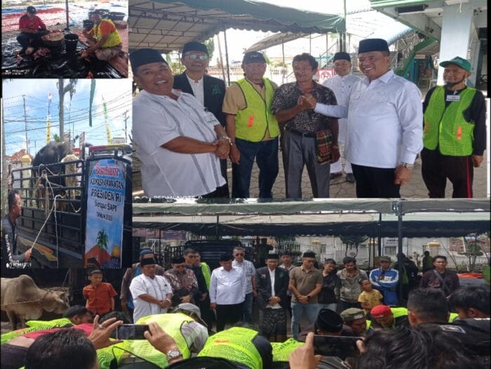 Bupati Karo Serahkan Sapi Kurban dari Presiden RI di Masjid Agung Kabanjahe