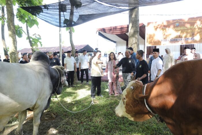 Polda Sumut Salurkan Ribuan Paket Daging Kurban untuk Masyarakat