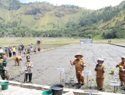 Pemkab Samosir Gelar Tanam Padi Bersama dan “Festival Manuan Eme”