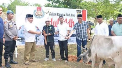 Polres Labusel Laksanakan Pemotongan Hewan Kurban Iduladha 1446 H/2025 M