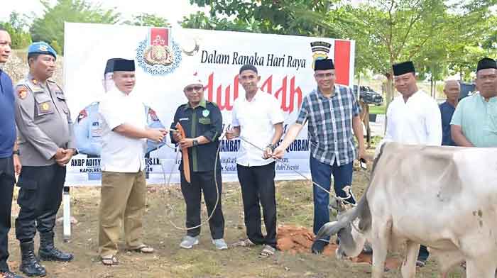 Polres Labusel Laksanakan Pemotongan Hewan Kurban Iduladha 1446 H/2025 M