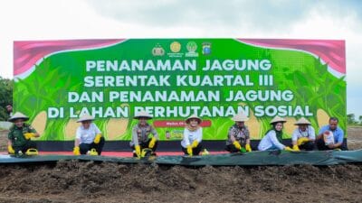 Polda Sumut Tanam Jagung Serentak Targetkan 24 Ribu Ton