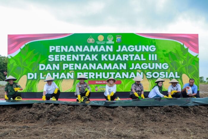 Polda Sumut Tanam Jagung Serentak Targetkan 24 Ribu Ton