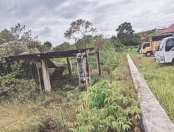 Bangunan Mangkrak Sebelah Samsat Arosuka Milik PUPR Lama Terbengkalai