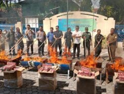 BC Langsa Musnahkan Rokok Ilegal dan Hewan