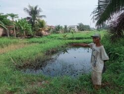 Masyarakat Marindal Satu Minta Presiden RI Tuntaskan Dugaan Pencemaran Limbah PT ACA yang Merusak Lingkungan