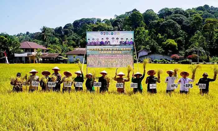 Pemkab Abdya Panen Raya Padi, Danrem 012/TU Ajak Generasi Muda Galakkan Sektor Pertanian
